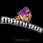 IMG